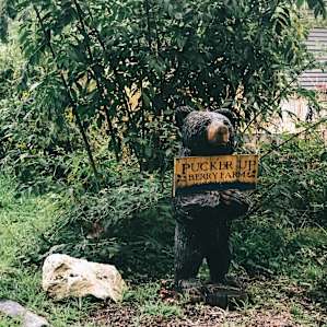 Family Camp at Pucker Up Berry Farm