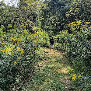 Trail along the river