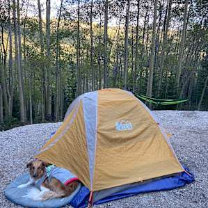 Oasis in the Aspens