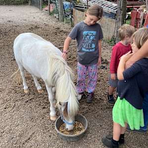 Heavenly Acres Farm Stay