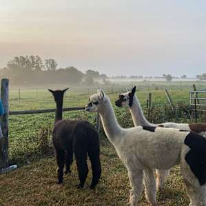 Heavenly Acres Farm Stay