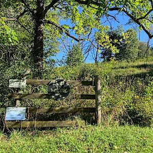 Pasture in the Valley