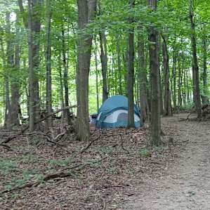 Enchanted Woods , Penn Yan N.Y.