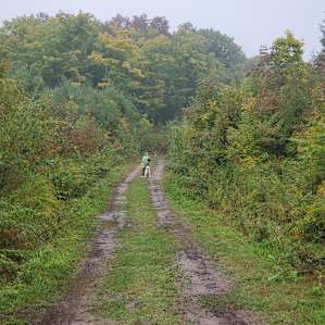 A great day for a walk!