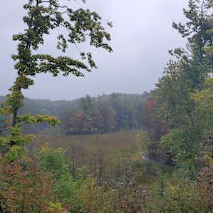 Beautiful colors, even on a gray day.