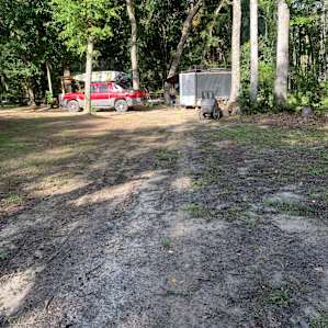 Lush Forest Camping