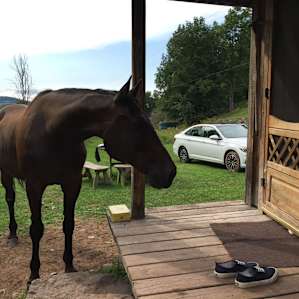 Farm Stay in Farmhand Cabin