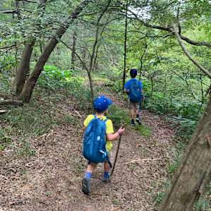 Hiking to Lower Cedar Falls