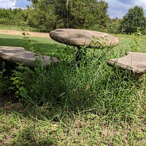 Junk and falling structure