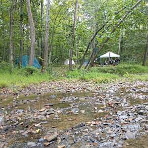 View of Site 2 from the creek