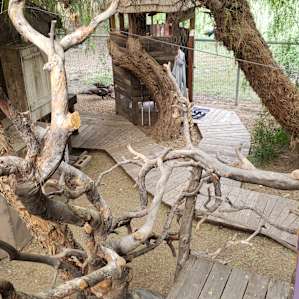 Treehouse on Working Sheep Farm