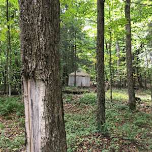 Lakeside Rustic Yurt