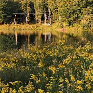 Lakeside Rustic Yurt
