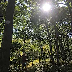 Hike In Platform Camping