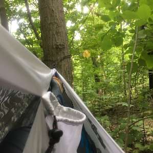 Hike In Platform Camping