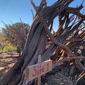 High Country Tumbleweeds Campsite