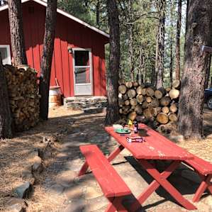 Squirrelville Cabin
