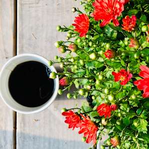 Coffee + Mums ♥️