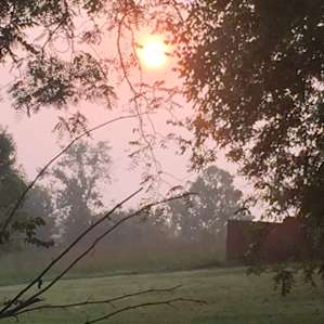 Riverside Bell Tent & Kitchette