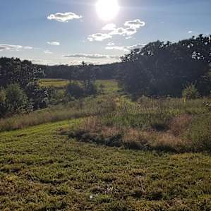 River Bottom Views
