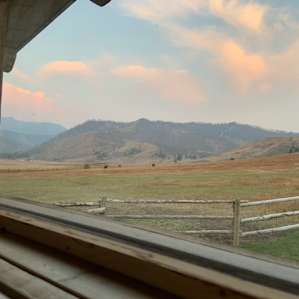 View from window above bed.