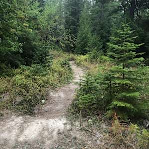 Trail to our site