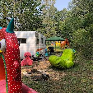 Creature Camp