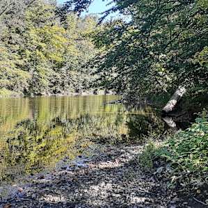 Creekside Camping 1