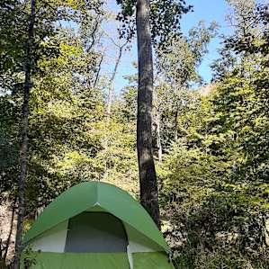 Creekside Camping