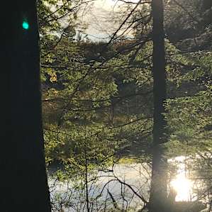 Camp Escape: The Seclusion