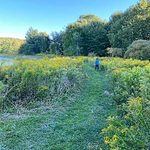 Sacred Hollow Glampsite