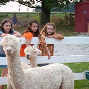 Country Home Farm Stay