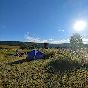 Wider view of the campsite