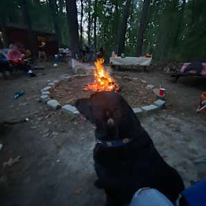 Great Times Camp Ground Site #1