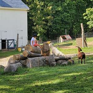 Finnegan’s Farm, West Yurt
