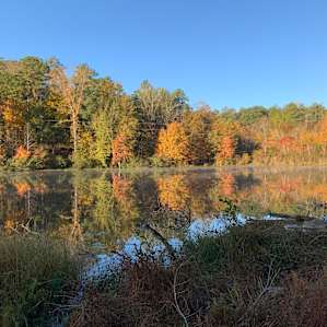 Payne Lake Recreation Area