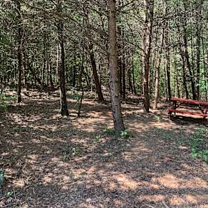 The campsite
