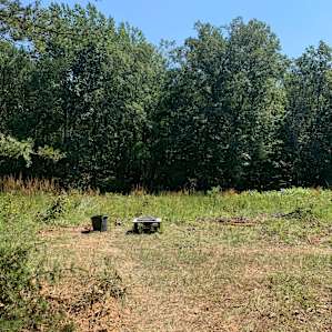 Looking out from the site, fire pit location