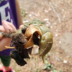 Slimy fun find.