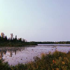The Little Cloquet Cove