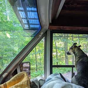 Spring Cabin with Bunnies & Piggies