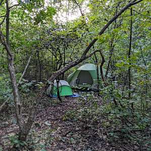 Camp Clear Sky Music Venue - Tent