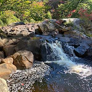 Small waterfall behind the cabins.