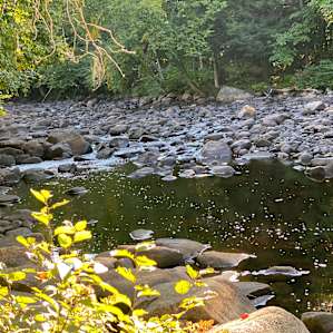 Nice little creek
