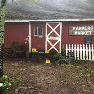 Petit Jean Farm Orchard