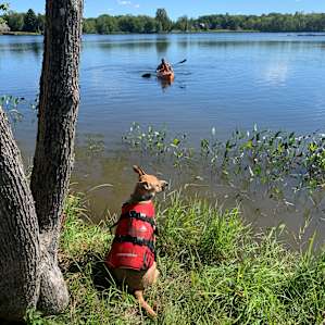 Great place for a paddle