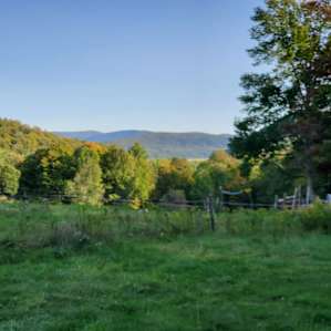 Tent Camping with Amazing Views