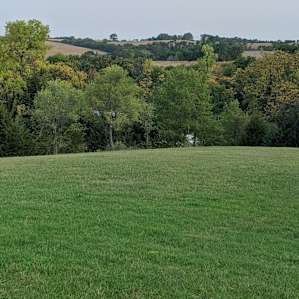 Site view