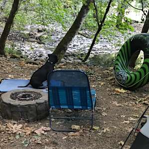 The creek wraps around the whole campground.