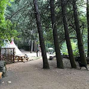 Private Camping along Creek #12